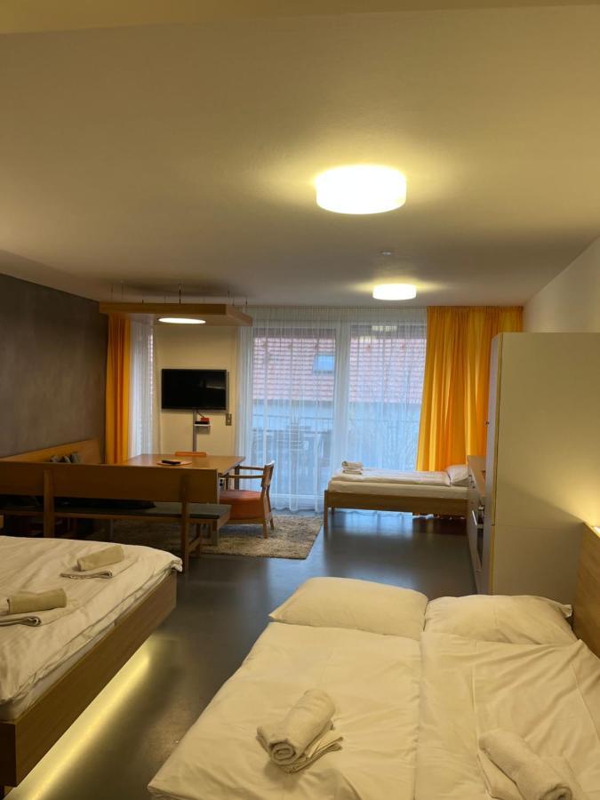 Palava Eu 11 Appartement Pavlov Buitenkant foto