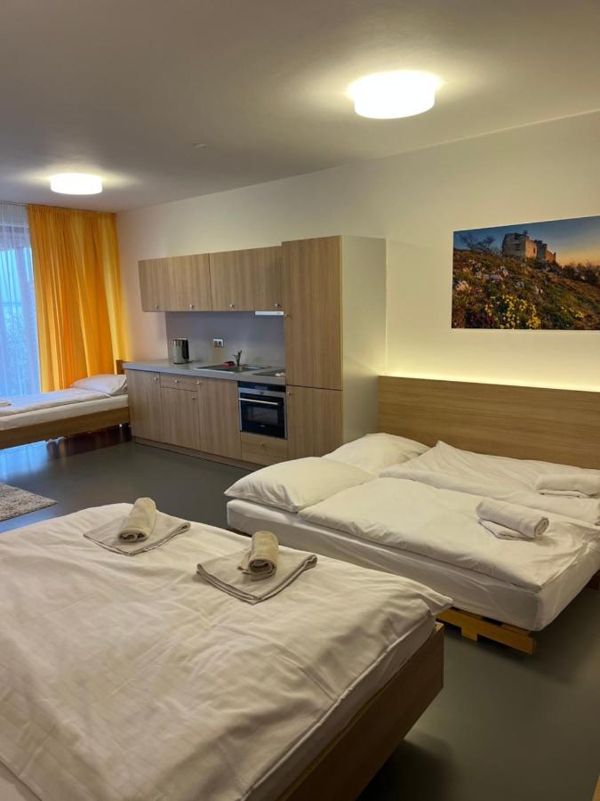 Palava Eu 11 Appartement Pavlov Buitenkant foto
